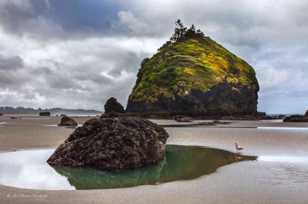 Moonstone Beach-3658.jpg